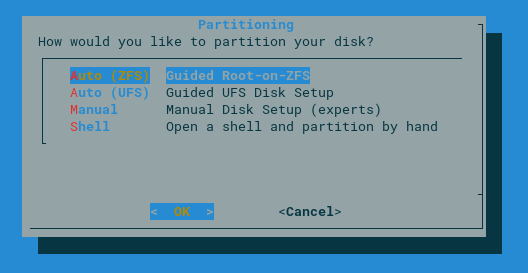 FreeBSD Install Partitioning